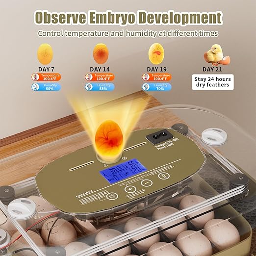 XOTTI 24 Egg Incubator for Hatching Eggs, with Smart Temperature Control and Humidity Display, Auto Egg Turner, 360° View, LED Candler, Incubator for Chicken Duck Quail Goose for Home School Farm Lab