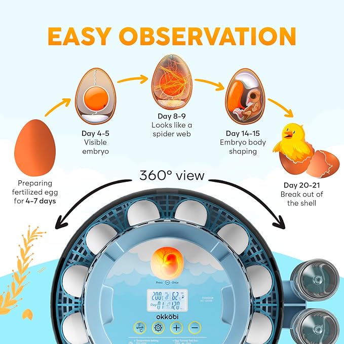18 Egg Incubator with Automatic Egg Turning and Humidity Control – Egg Incubators for Hatching Eggs – Egg Candler, Water Bottle Refill, Air Vent, 360° View – Incubadora de Huevos de Gallina