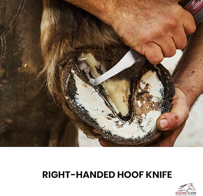 Equine Care Farrier Hoof Knife (Right-Handed) | Razor Sharp J2 Stainless Steel Blade, Ergonomic Handle | Professional Grade Precision Tool for Horse, Cow, Goat & Livestock Hoof Trimming & Shoeing.