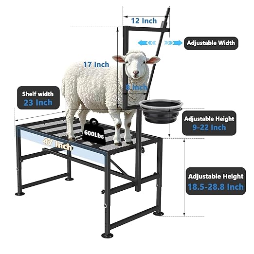 600 Lbs Goat Milking Stand with Feed Bin, Livestock Stand for Sheep Trimming Hooves, Goat Stantion Metal Black with Adjustable Head Piece and Legs, Large Size