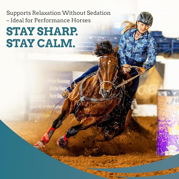 SynNutra Equine SynChill Pure 5-Pack – Non-Sedative Disposition Support for Horses – Plant-Based, L-Theanine-Free Formula for Calm, Confident Performance – 100% Natural & Competition Safe