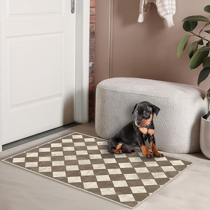 2x3 Checkered Modern Small Carpet Washable Brown Area Rugs Doormat for Entryway Bathroom Living Room Bedroom Washing Room Non Slip
