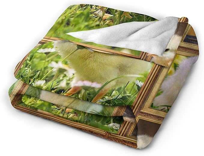 Cute Chicken Blanket, Farm Animal Throw Blankets, Yellow Chick Fuzzy Plush Blanket Ultra Soft for Chicken Lover Gift Kids Teens Women Men Girls Boys Stuff Decor for Home Bedding Sofas Couch 80"X60"