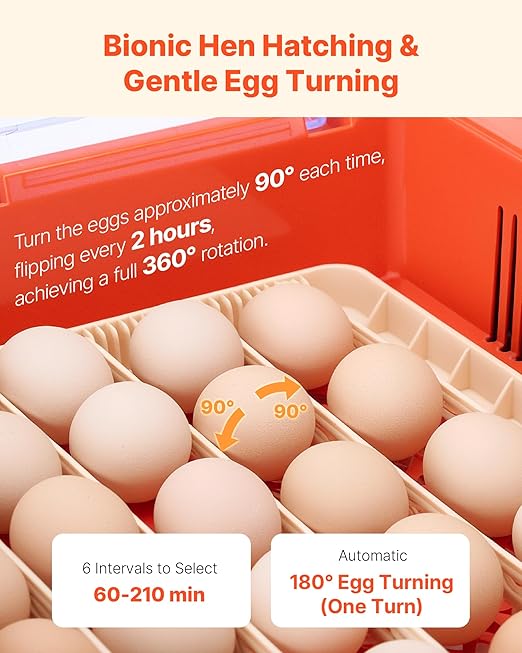 VEVOR 36 Egg Incubator, Automatic Egg Turner with LED Candler & Water Tray, Temperature & Humidity Control, 360° View Clear Window, Poultry Eggs Incubators for Hatching Chicks Ducks Goose Quails