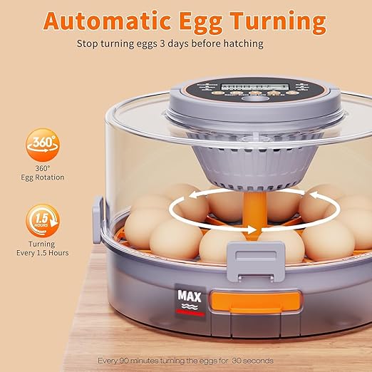 Egg Incubators for Hatching Eggs with Automatic Egg Turning and Humidity Control Intelligent Temp Eggs Candler for Chicken Quail Duck etc. Eggs, Suit for Beginner Backyard Hobbyist Students Education