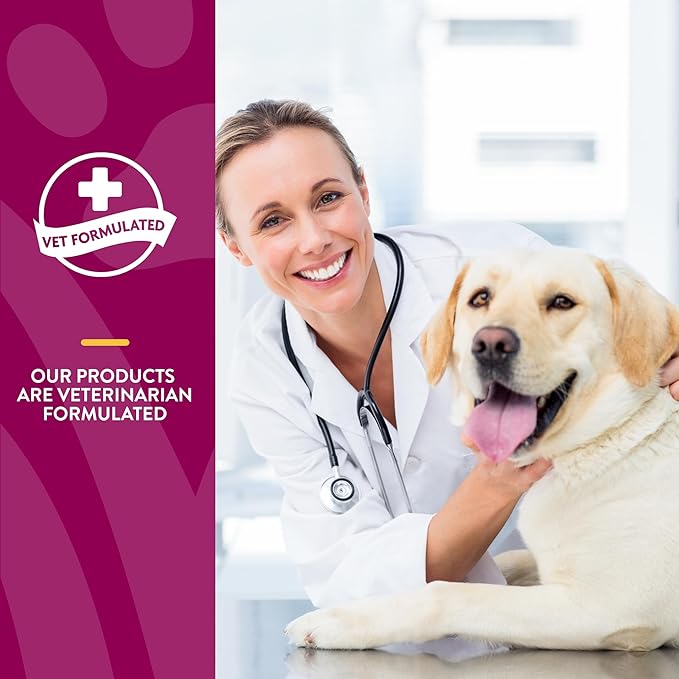NaturVet ArthriSoothe-Gold Level 3 Advanced Joint Care for Dogs – Soft Chew Dog Supplement with Glucosamine, MSM, Chondroitin & Hyaluronic Acid – Wheat-Free Pet Supplements – 70 Ct.