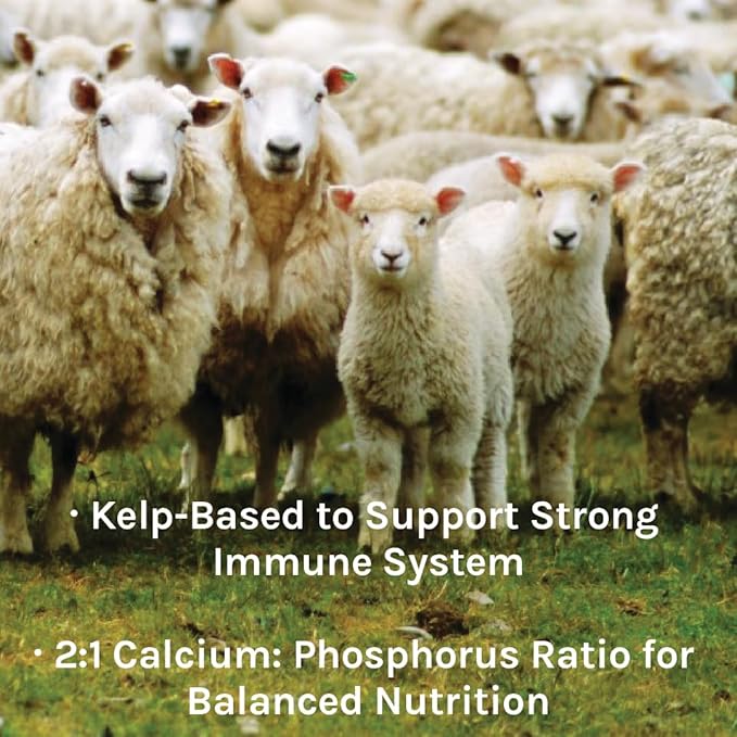 New Country Organics | Healthy Sheep Kelp Based Minerals for Sheep | Certified Organic and Non-GMO Sheep Feeder | 40 lbs