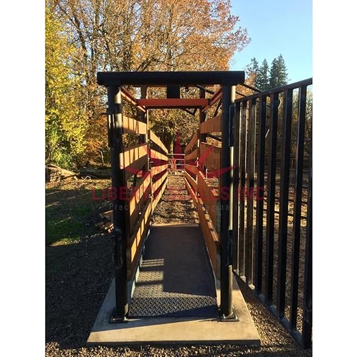 Liberty LS-929 Livestock Scale for Cattle, Measures 85" x 26" x 5, Size M-7’x26 with LCD Display Indicator