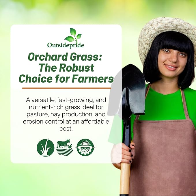 Outsidepride Grazer Orchard Pasture Grass Seed - 50 Lbs. Perennial, Drought & Shade Tolerant, Winter Hardy Fescue Seed for Hay, Grazing, Silage, Greenchop, Goat Feed, & Lawn Use