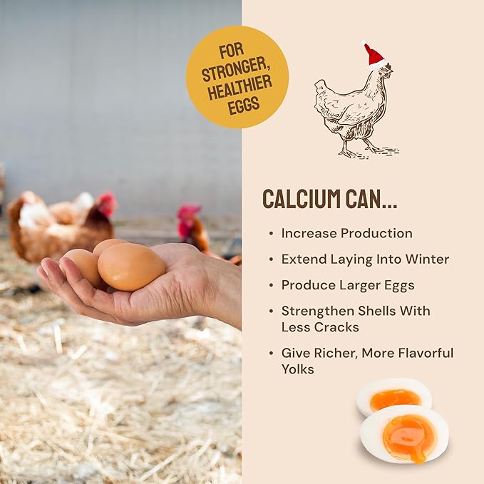 Hatortempt Chicken Feed Granules - 10 lb, Non-GMO - Protein-Rich Meal Worms & Black Soldier Fly Larvae & Oyster Shell Grubs Mix - Calcium Grit & Treats for Chickens - Egg Layer Feed