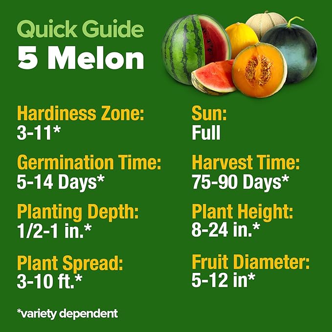 HOME GROWN Melon Seeds Variety Pack 5 Heirloom Vegetable Seeds, Watermelon Cantaloupe Honeydew Sugar Baby & Melon, High Germination for Planting Home Garden Indoors