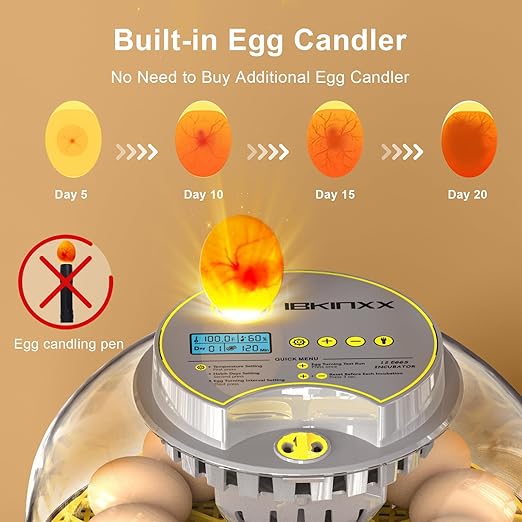 Incubator for Hatching Eggs-12 Egg Capacity, Automatic Egg Turner, Temperature & Humidity Control, 360° Viewing for Chicken, Duck and Quail Eggs