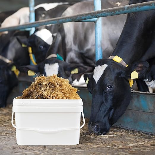 Zopnny 4 Pcs 2.6 Gallon Plastic Bucket with Lid, Food Grade Bucket 10L Utility Industrial Pail with Handle (White)