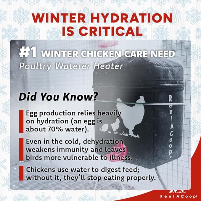 RentACoop Zero Chill Heated Drinker – 64 oz All-in-One Poultry Waterer with Heater & Insulated Cover, Cold-Weather Tested to -10°F, Cone Lid and Horizontal Nipple for Chickens & Small Flocks