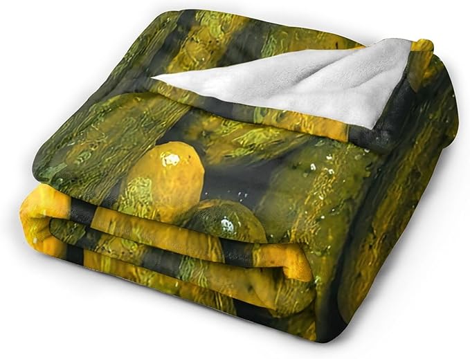 Pickle Blanket Gifts for Girls Boys Soft Warm Plush Pickle Cucumber Foodie Throw Blanket Flannel Fleece Fuzzy Pickles Blanket for Kids Lover Bed Couch Living Room Decor 60"X50"