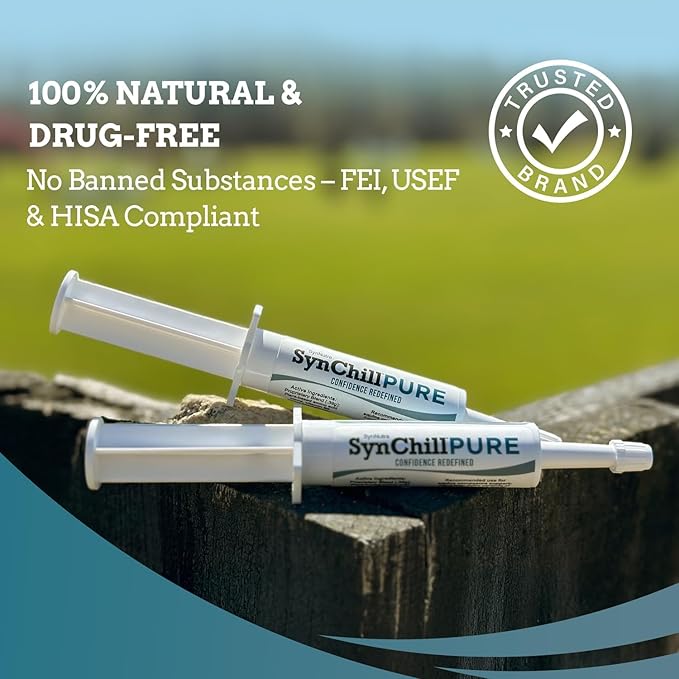 SynNutra Equine SynChill Pure 5-Pack – Non-Sedative Disposition Support for Horses – Plant-Based, L-Theanine-Free Formula for Calm, Confident Performance – 100% Natural & Competition Safe