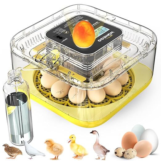 12 Egg Incubator with Automatic Turning, Temperature and Humidity Control, LED Egg Candler, and Auto Water Addition, for Hatching Chicken, Goose, Duck, Quail, Pigeon, and Turkey Eggs