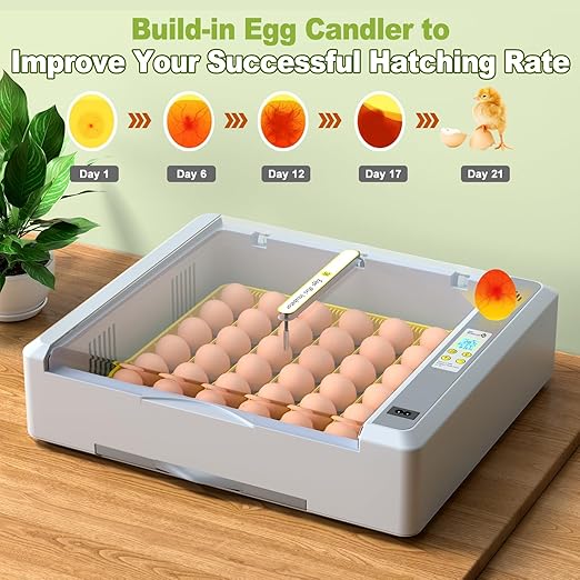 36 Eggs Incubator for Hatching Chicken/Goose/Quail/Duck/Turkey Eggs, 360° View Incubator with Automatic Egg Turning/Humidity Control/Low Humidity Alarm/Adjustable Tray, for Beginner/Farm/Teaching/Home