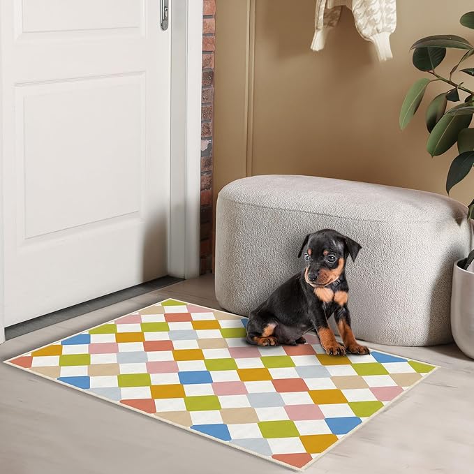 Neutral Checkered Small Carpet 2x3 Washable Geometry Colorful Area Rugs Doormat for Entryway Bathroom Living Room Bedroom Washing Room Non Slip