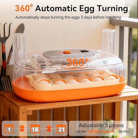 Incubators for Hatching Eggs, 24 Egg Incubator, Automatic Egg Turner with Humidity Control & Digital Temperature, Hatch Day, Auto Water Refill, 360°Viewing for Chicken, Duck, Quail, Duck, Goose