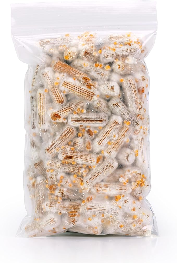 North Spore Organic Lion's Mane (100 ct) Mushroom Plugs for Logs | Premium Quality Mushroom Plug Spawn | Handmade in Maine, USA | Grow Gourmet Mushrooms Outdoors on Logs