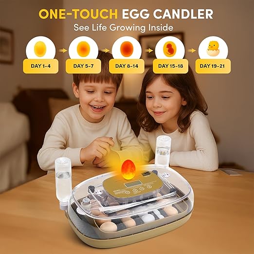 HIRALIY 24 Incubators for Hatching Egg Automatic Turner with Candler Smart Temperature and Humidity Control, 360° Viewing, Ideal for Chicken, Duck, Quail, Goose, Farm, Home, Classroom Hatching
