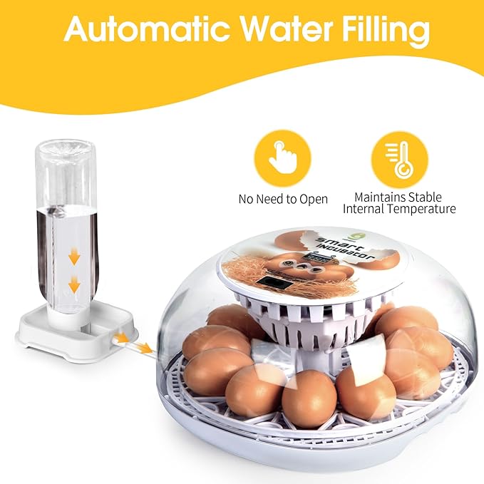 12 Egg Digital Incubator Automatic Turner, Humidity Control & LED Candler for Hatching Chicken, Duck, Quail & More with Auto Water Refill (12 Egg-White)