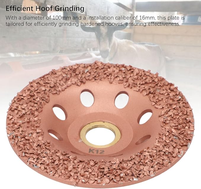 Horse Hoof Trimming Disc, Livestock Hoof Trimming Grinding Wheel, Ti Plated Electric Hoof Repair Plate for Horses Goats Cow