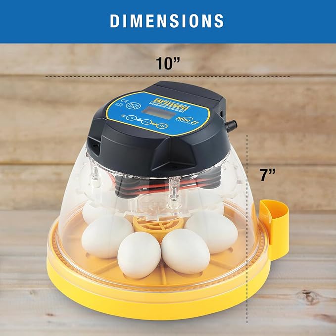 Brinsea Mini II Advance Egg Incubator with Automatic Egg Turning and Temperature Control for Hatching 7 Chicken, Duck, or Other Eggs, Ideal Incubator for Hobbyists, Teachers, and Learners