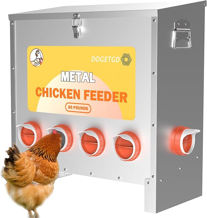 Automatic Chicken Feeder No Waste Metal Poultry Feeder Large Capacity 85 lbs for Chickens, Geese, Ducks, Turkeys, Quails (6-Port)