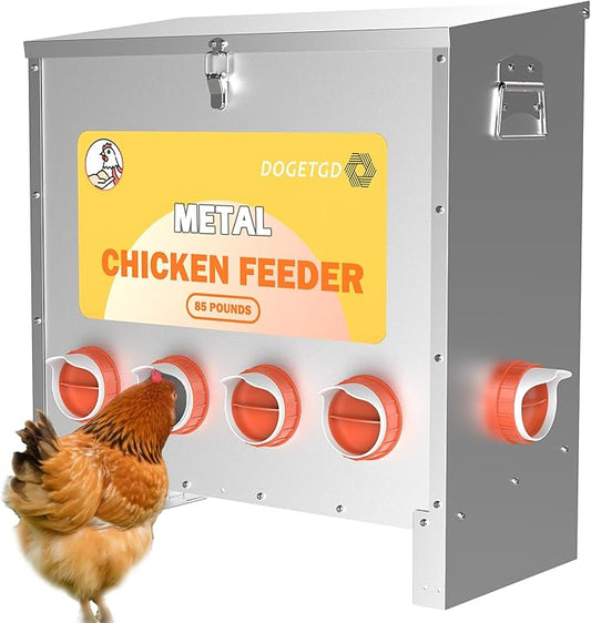 Automatic Chicken Feeder No Waste Metal Poultry Feeder Large Capacity 85 lbs for Chickens, Geese, Ducks, Turkeys, Quails (6-Port)