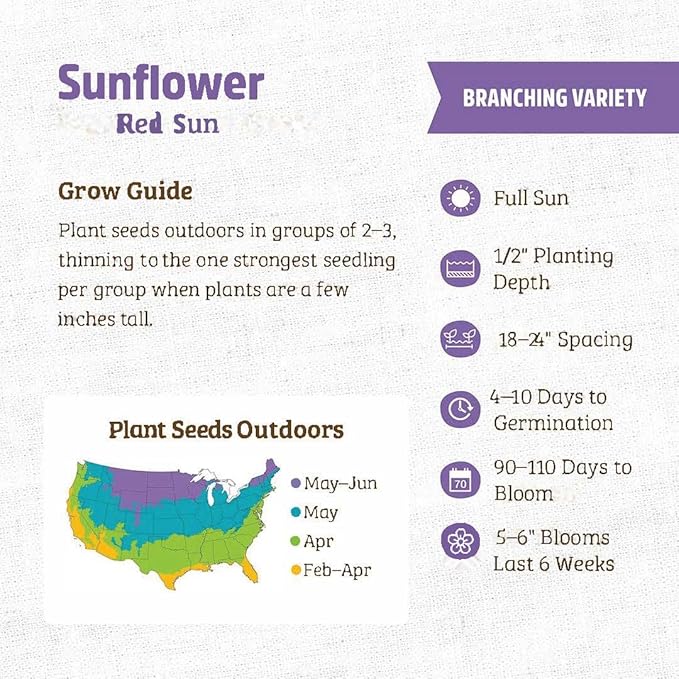 Sunflower Seeds for Planting - Heirloom Non-GMO Red Sun Sunflower Seeds to Plant & Grow Home Outdoor Garden - Great Gardening Gift, 4 Ounces