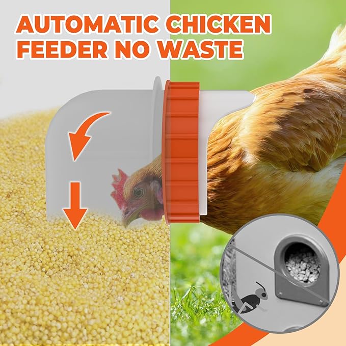 4 Ports Metal Chicken Feeder No Waste 25 Pounds Automatic Poultry Feeder with Latch & Handle for Chickens Bantams Pheasants Poultry Coop Rodent Proof