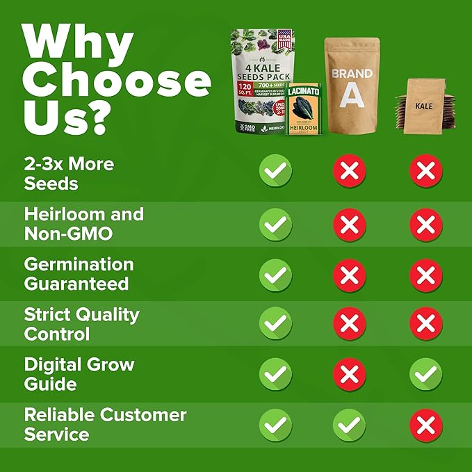 HOME GROWN Heirloom Vegetable Seeds Vegetable Seeds for Planting Home Garden, Beans, Carrots, Peppers, Cucumber, Kale, Pepper Seeds, Tomato (4 Kale)