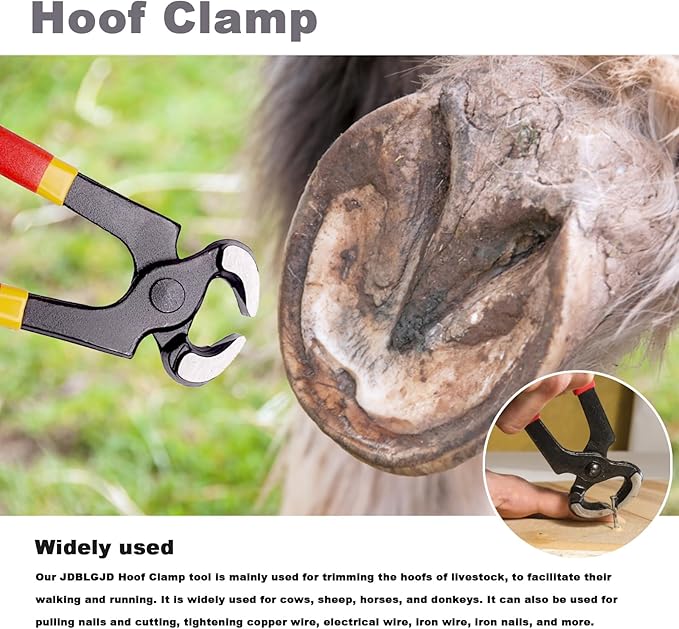 Farrier Tools,8 inch Farrier Tool Kits （6 Piece） Goat Hoof Trimmers Mini Rasp Hoof File Goat Pig Equine Metal Shears Professional Farriers Hoof Nipper Cutter Handle Knife Goat Supplies