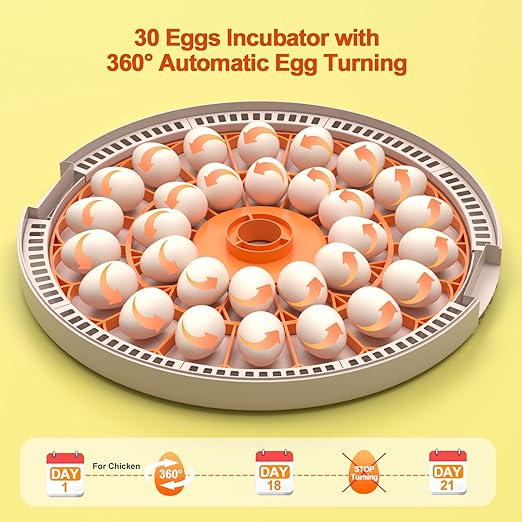 30 Egg Incubators for Hatching Chicken/Quail/Pigeon/Birds Eggs, Incubator with Automatic Egg Turning/Temperature Control/Humidity Display/Egg Candler/360°View/Fully Automatic, for Beginner/Farm/Home