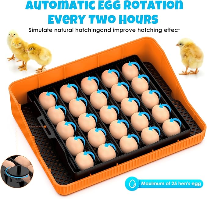 25 Egg Incubator Digital Poultry Hatcher Machine with Automatic Egg Turning, incubators for Hatching Eggs, Temperature & Humidity Control, LED Screen, General Purpose Incubator(Transparent)