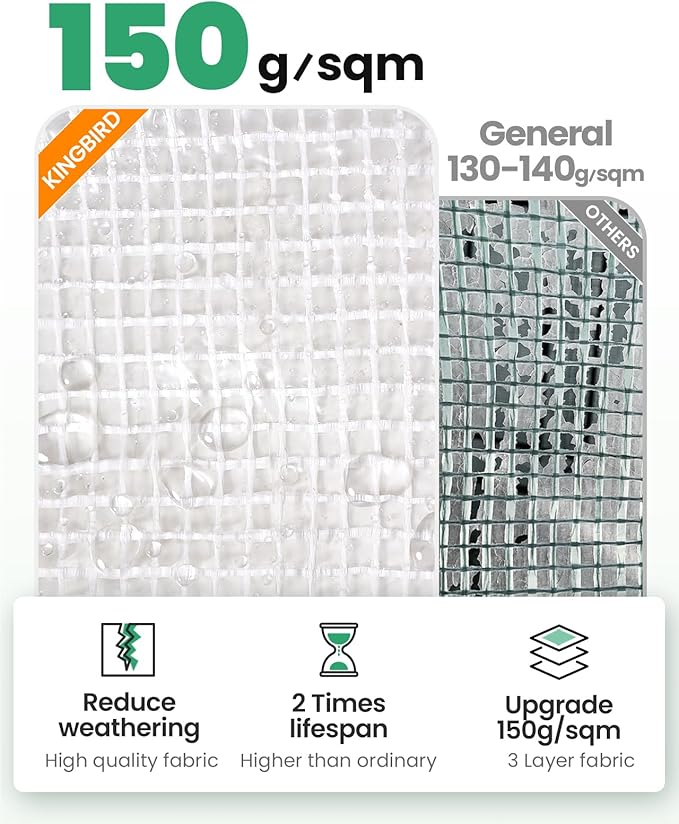 KING BIRD Premium 10x6.6x6.6FT Greenhouse for Outdoors, Large Walk-in Heavy Duty Galvanized Steel Frame, Mesh Door Screen Window Tunnel Hoop Garden Plant Winter Hot House, with Watering Kits, White