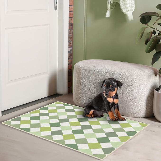 2x3 Checkered Washable Area Rugs Small Carpet Green Doormat for Entryway Bathroom Living Room Bedroom Washing Room Non Slip