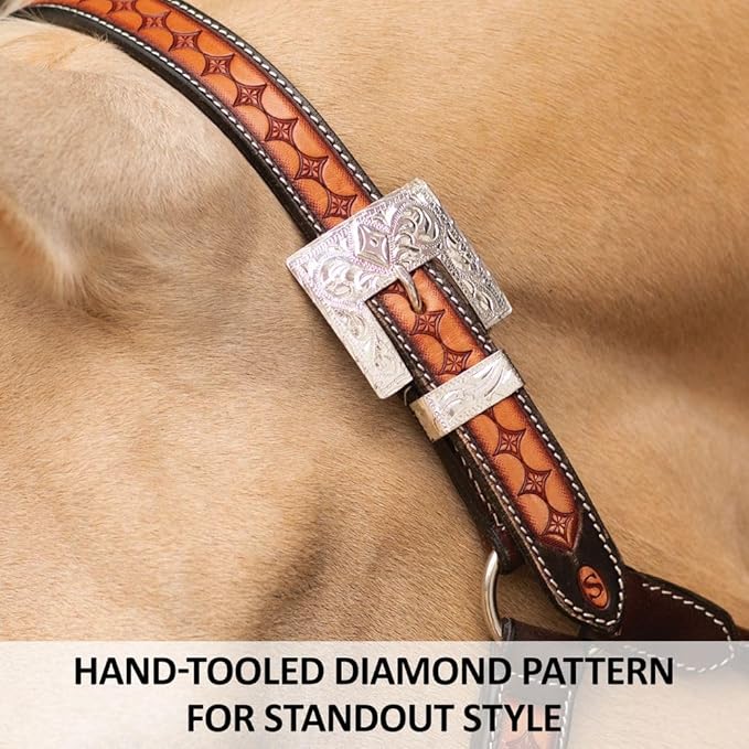 Schneiders Sunburst Ranch Western Show Halter for Horses | Hand-Tooled Leather | Semi-Custom Fit | Silver-Plated Hardware | Elegant Ranch Class Design