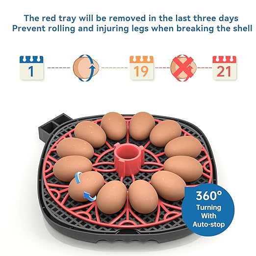 12-24 Egg Incubator with Humidity Display, Egg Candler, Automatic Egg Turner, for Hatching Chickens Duck Quail Parrot