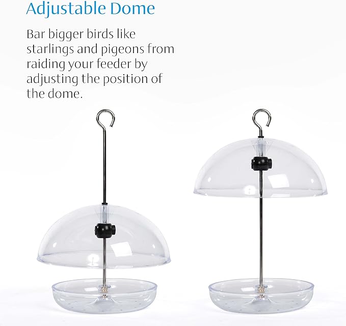 Bluebird Mealworm Feeder - Jacobi Jayne® Pearl Feeder Mini™ - Domed Small Bluebird Feeder - Live Mealworm Feeder Hanging for Outdoors and Backyards