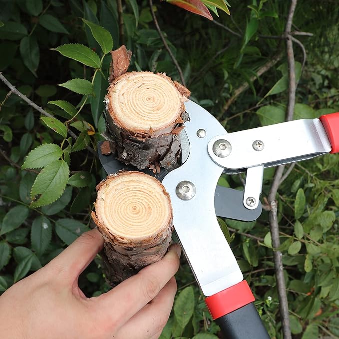 GARTOL Anvil Lopper, 29″ Heavy Duty Tree Branch Cutter (2″ Cutting Capacity), Compound Action for Effortless Cutting | Ergonomic Non-Slip Handles | Ideal for Tree Trimming & Garden Maintenance