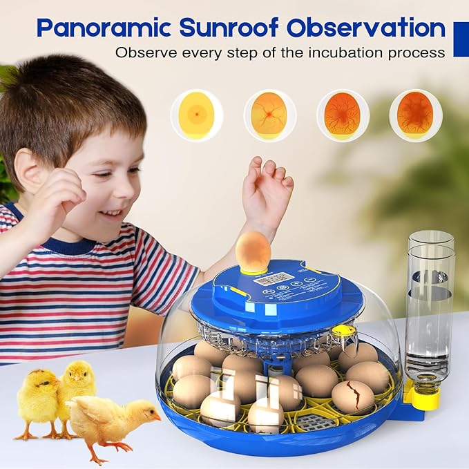 Egg Incubator for Hatching Chicks, 18 Eggs Automatic Egg Turner Multifunctional Smart Incubator 360° Clear Window with Temperature & Humidity Control, Egg Candler for Poultry Chickens Ducks Quails