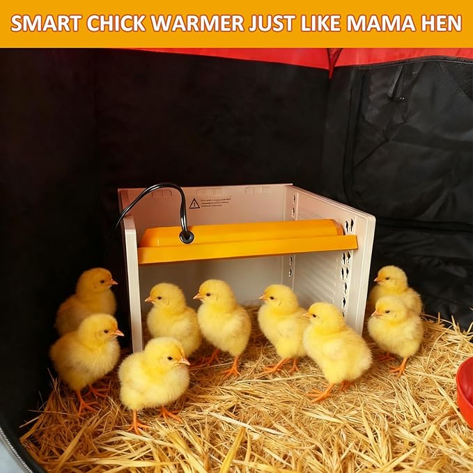 Chicken Brooder Box Starter Kit with Heating Plate, Feeder, Waterer & Perch for Chicks, Ducklings, Quail - Collapsible Playpen, Dual Door, Indoor/Outdoor Use (15 Chicks)