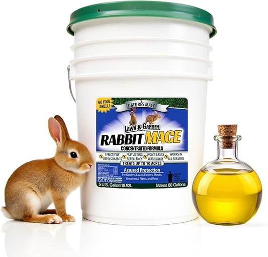 Nature’s Mace Rabbit MACE Concentrate, Deterrent for Yard, Rabbit Repellent Outdoor, Mint Rabbit Spray, Garden, Lawn, Keep Rabbits Out Safe to Use Around People, Pets, Plants, 640 Fl Oz (Pack of 1)