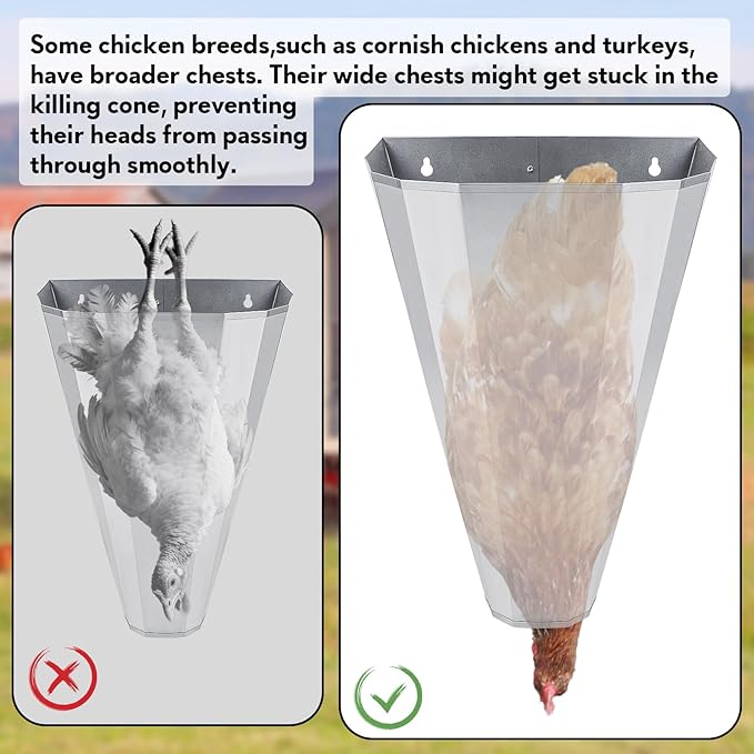 Medium Size Galvanized Steel Chicken Restraining Cone for Chickens, Large Layers, Broilers, Roasters, Turkeys Up to 8 Pounds Flat-Back, Easy to Clean (4 Pack)