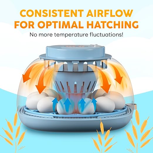 12 Egg Incubator with Automatic Egg Turning and Humidity Control – Egg Incubators for Hatching Eggs – Egg Candler, Water Bottle Refill, Air Vent, 360° View – Incubadora de Huevos de Gallina