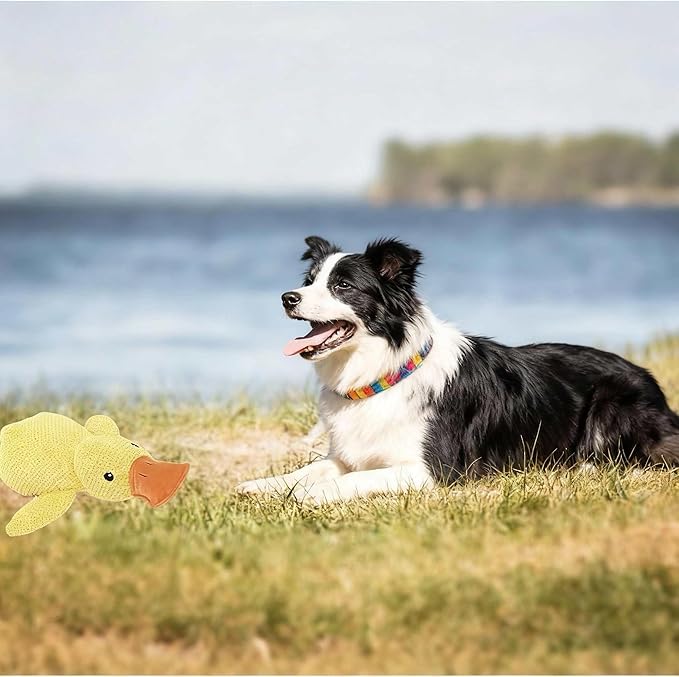 Yellow Duck Dog Toy, Calming Toy for Dogs, Durable Chew Toy, Fun Sound Interactive Pet Toy, New Yellow Duck Design, Tooth Cleaning and Anxiety Relief for Dogs.