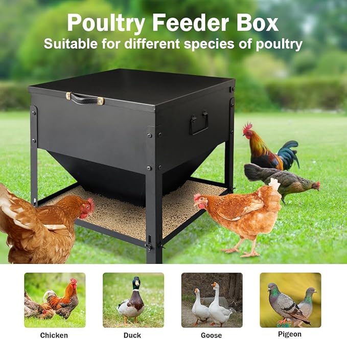 Metal Chicken Feeder No Waste, Large Capacity Poultry Feeder, Adjustable Galvanized Steel Chicken Coop Feeder with Lid and Handle